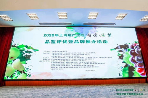 沪上佳果竞芳华 地产葡萄蜜梨评优活动圆满落幕