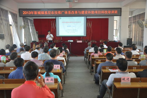 新城镇农技推广体系改革与建设补助项目科技培训班 赋能现代农业，服务乡村振兴