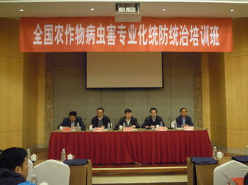 技术推广服务中心 引领创新成果转化的专业平台