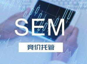 SEM竞价托管服务 技术推广的新引擎