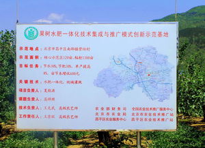 技术推广服务中心 连接创新与市场的桥梁