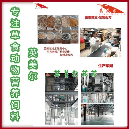 育肥牛饲料品牌与技术推广的协同之道